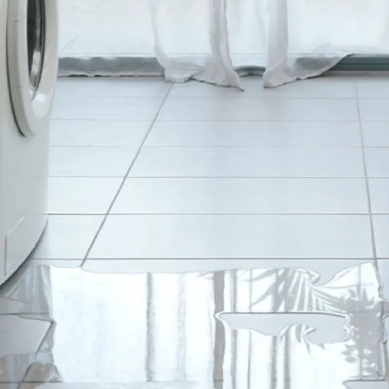 Appliance Leak Cleanup in Allen County, OH