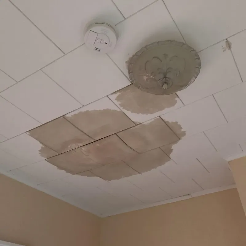 Ceiling Water Damage Repair in Allen County, OH