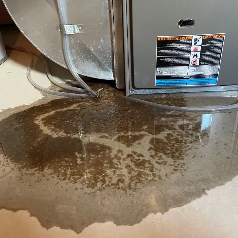 Pipe Burst and Leak Restoration in Allen County, OH