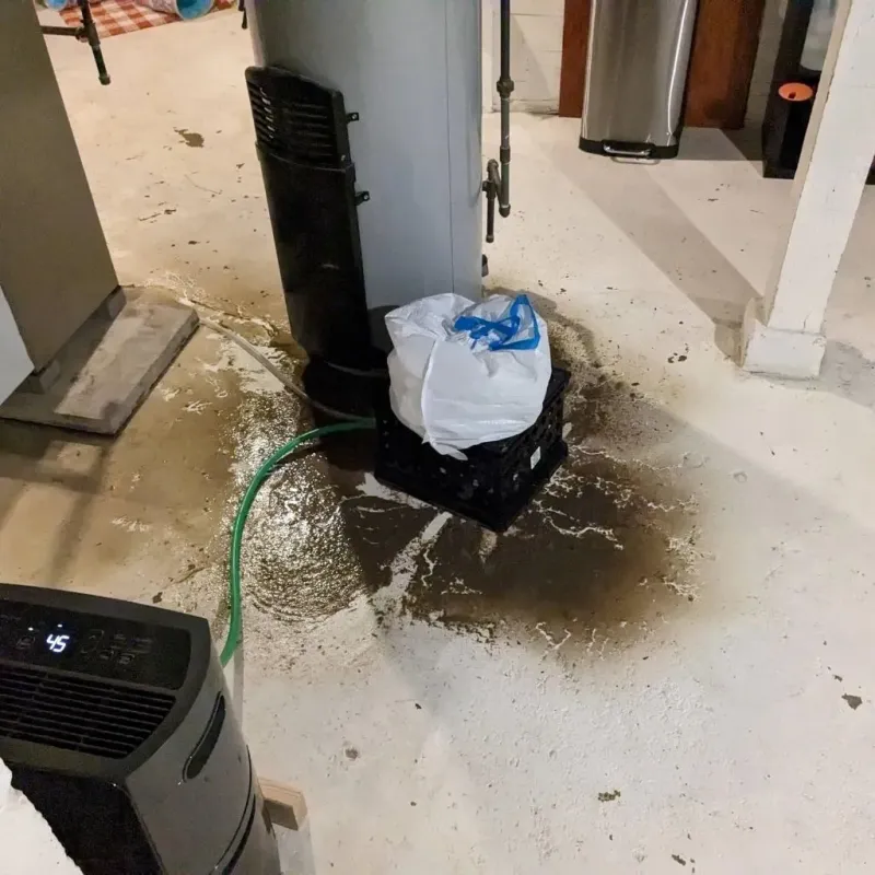 Sewage Backup Cleanup Service in Allen County, OH